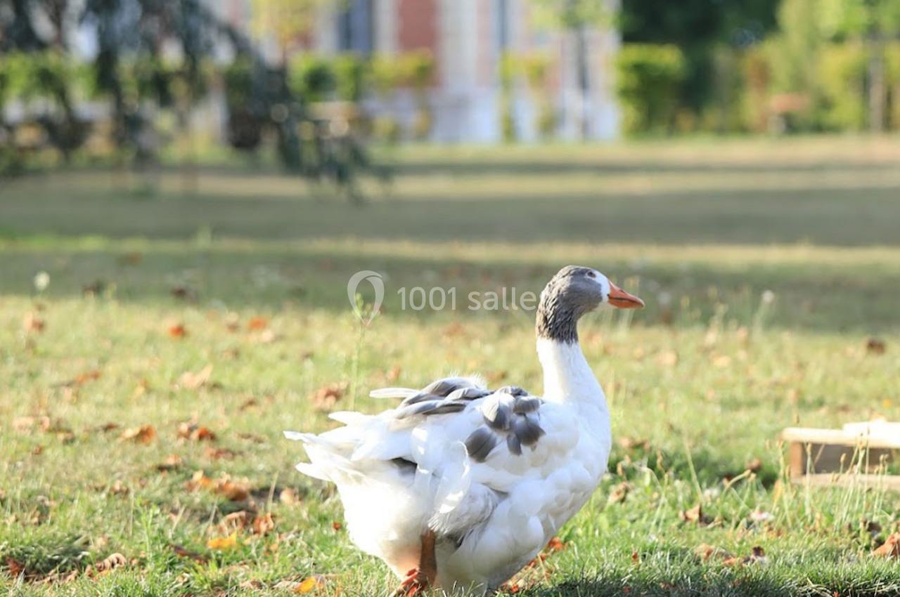 Location salle Nainville-les-Roches (Essonne) - Le Château Nainville les Roches #29