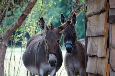 Miniature Location salle Nainville-les-Roches (Essonne) - Le Château Nainville les Roches #36 Location salle Nainville-les-Roches (Essonne) - Le Château Nainville les Roches #37