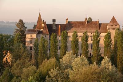 Château L'Evêque en Périgord - photo 2