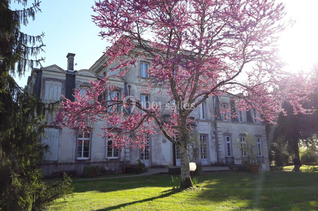 Façade d'un bâtiment ancien entouré d'arbres, avec un arbre en fleurs roses au premier plan sous une lumière ensoleillée.