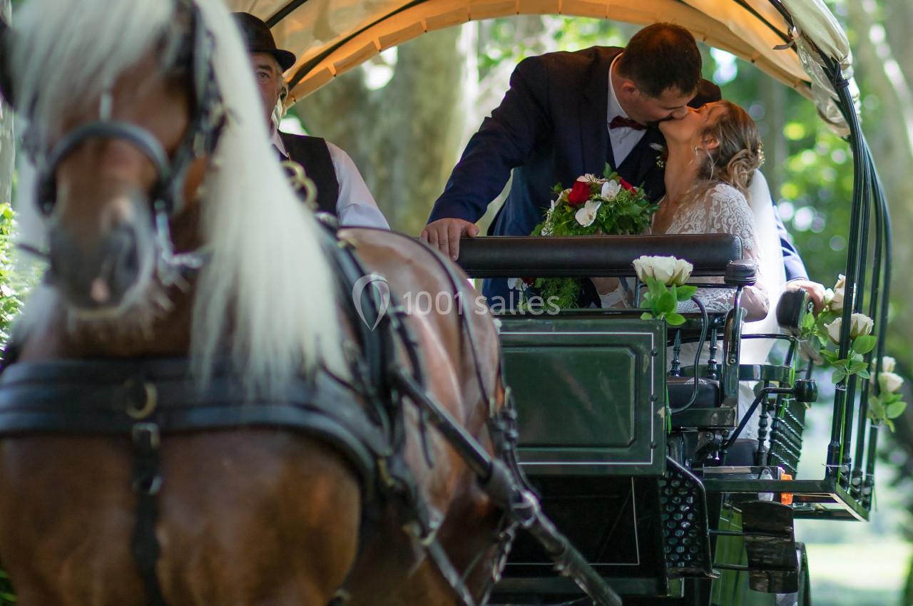 Un couple s'embrasse dans une calèche tirée par un cheval, sous des arbres verdoyants.