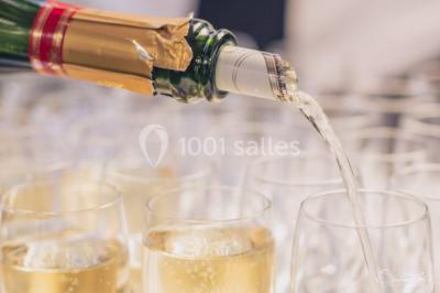 Miniature Location salle Toulouse (Haute-Garonne) - Hôtel Palladia #9 Location salle Toulouse (Haute-Garonne) - Hôtel Palladia #21