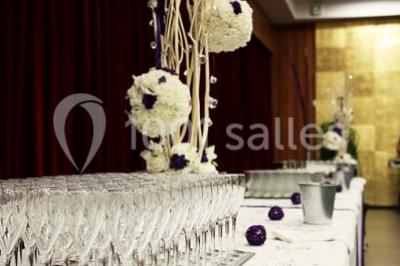 Miniature Location salle Toulouse (Haute-Garonne) - Hôtel Palladia #12 Location salle Toulouse (Haute-Garonne) - Hôtel Palladia #21