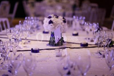 Miniature Location salle Toulouse (Haute-Garonne) - Hôtel Palladia #15 Location salle Toulouse (Haute-Garonne) - Hôtel Palladia #21