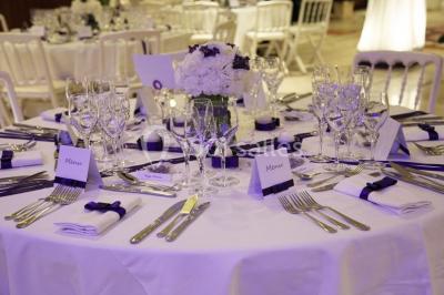 Miniature Location salle Toulouse (Haute-Garonne) - Hôtel Palladia #16 Location salle Toulouse (Haute-Garonne) - Hôtel Palladia #21