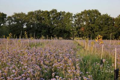 Miniature Location salle Lion-en-Sullias (Loiret) - Le Hameau du Perrat #13 Location salle Lion-en-Sullias (Loiret) - Le Hameau du Perrat #50