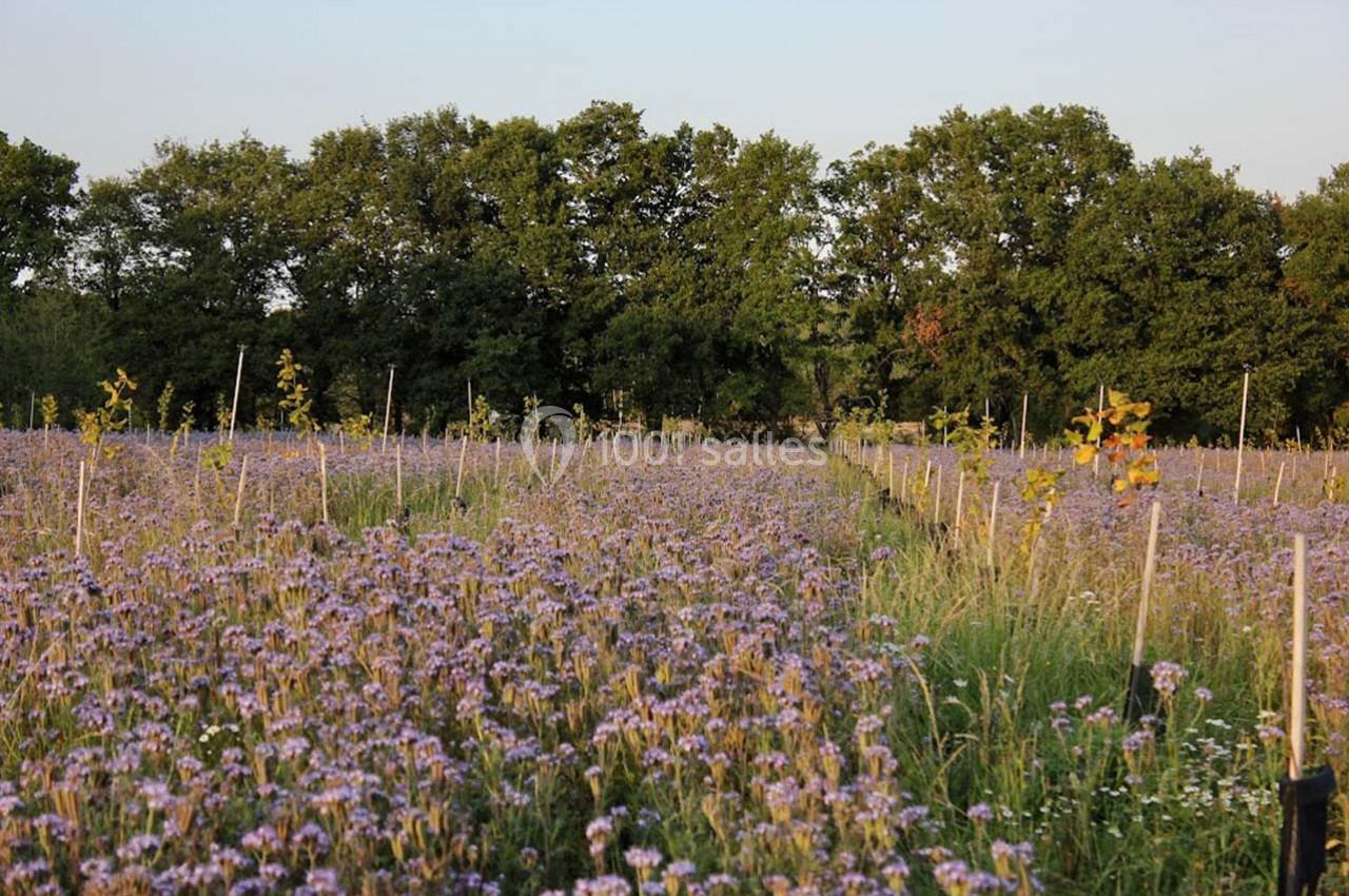 Location salle Lion-en-Sullias (Loiret) - Le Hameau du Perrat #13 Location salle Lion-en-Sullias (Loiret) - Le Hameau du Perrat #13