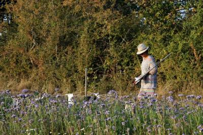 Miniature Location salle Lion-en-Sullias (Loiret) - Le Hameau du Perrat #15 Location salle Lion-en-Sullias (Loiret) - Le Hameau du Perrat #50