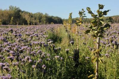Miniature Location salle Lion-en-Sullias (Loiret) - Le Hameau du Perrat #14 Location salle Lion-en-Sullias (Loiret) - Le Hameau du Perrat #50