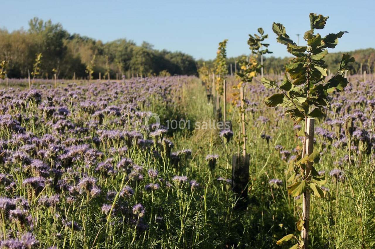 Location salle Lion-en-Sullias (Loiret) - Le Hameau du Perrat #14 Location salle Lion-en-Sullias (Loiret) - Le Hameau du Perrat #14