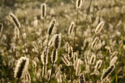 Miniature Location salle Lion-en-Sullias (Loiret) - Le Hameau du Perrat #16 Location salle Lion-en-Sullias (Loiret) - Le Hameau du Perrat #50