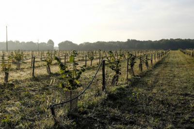 Miniature Location salle Lion-en-Sullias (Loiret) - Le Hameau du Perrat #24 Location salle Lion-en-Sullias (Loiret) - Le Hameau du Perrat #50