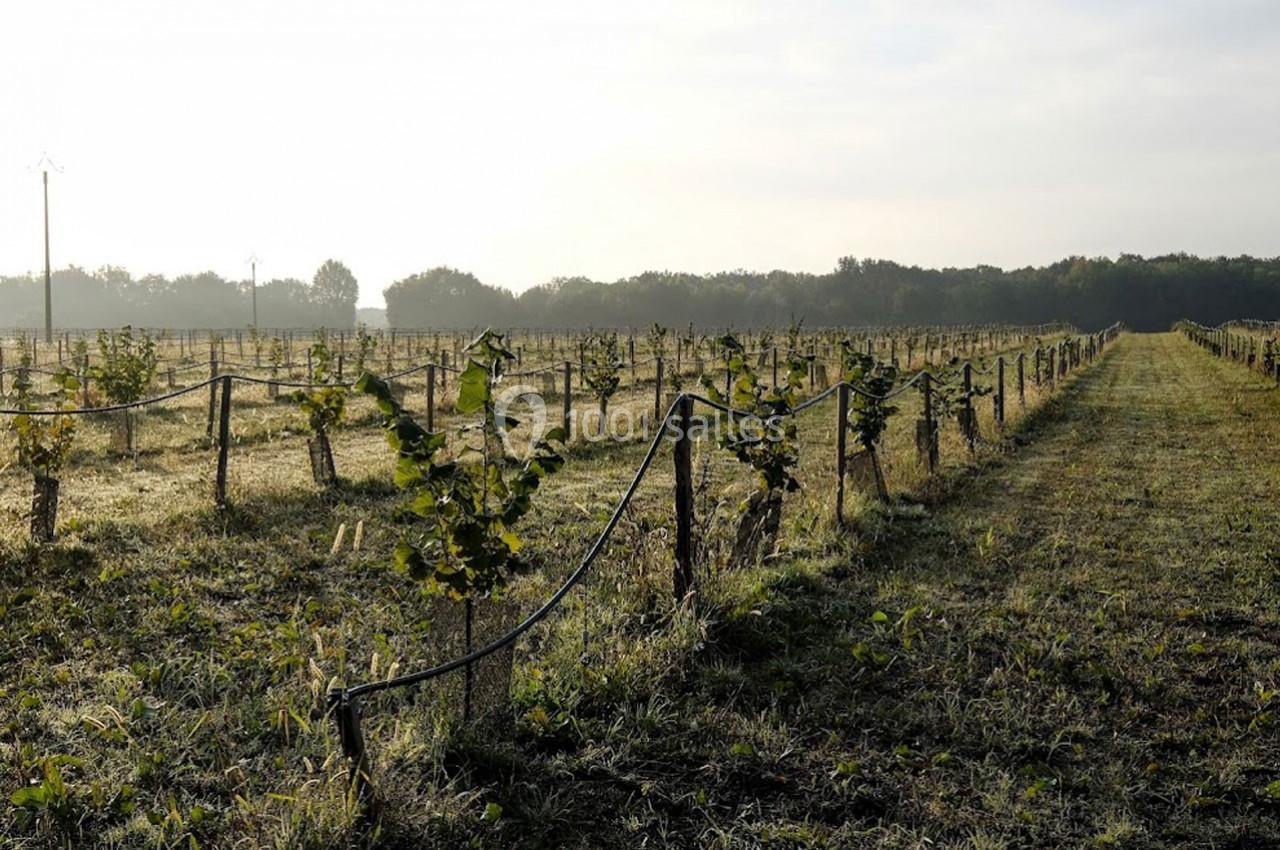 Location salle Lion-en-Sullias (Loiret) - Le Hameau du Perrat #24 Location salle Lion-en-Sullias (Loiret) - Le Hameau du Perrat #24