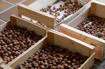 Miniature Location salle Lion-en-Sullias (Loiret) - Le Hameau du Perrat #25 Location salle Lion-en-Sullias (Loiret) - Le Hameau du Perrat #50