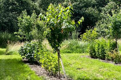 Miniature Location salle Lion-en-Sullias (Loiret) - Le Hameau du Perrat #49 Location salle Lion-en-Sullias (Loiret) - Le Hameau du Perrat #50
