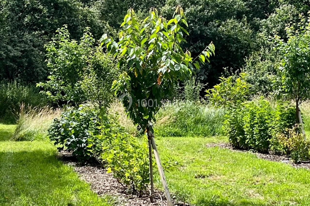 Location salle Lion-en-Sullias (Loiret) - Le Hameau du Perrat #49 Location salle Lion-en-Sullias (Loiret) - Le Hameau du Perrat #49