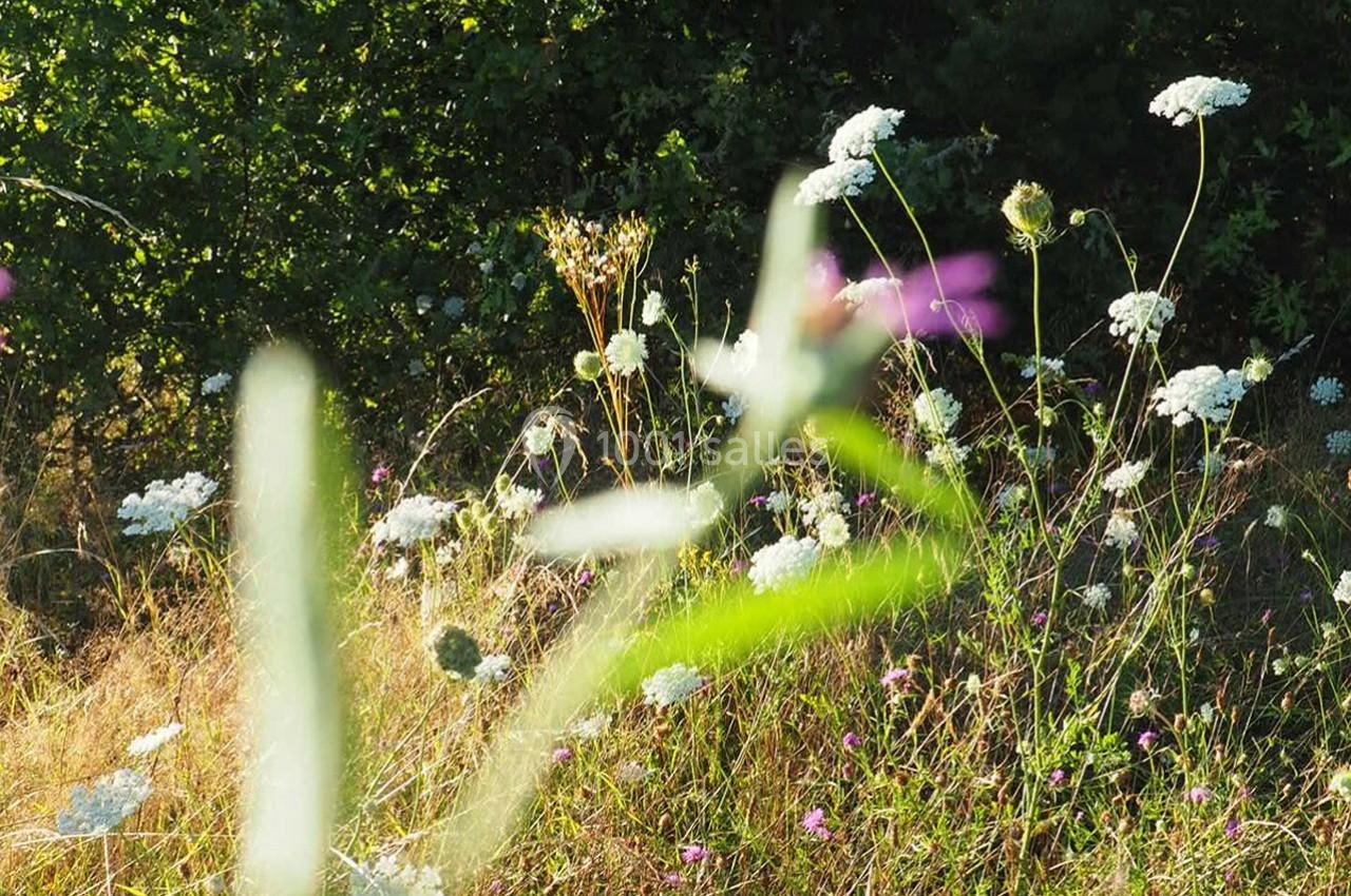 La Noiseraie La Noiseraie