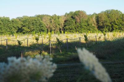 Miniature La Noiseraie Location salle Lion-en-Sullias (Loiret) - Le Hameau du Perrat #50