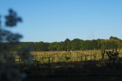 Miniature La Noiseraie Location salle Lion-en-Sullias (Loiret) - Le Hameau du Perrat #50