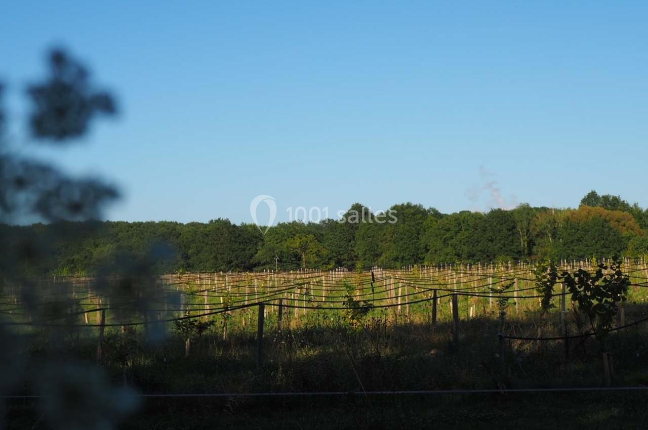 La Noiseraie La Noiseraie