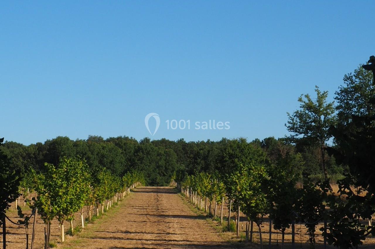 La Noiseraie La Noiseraie