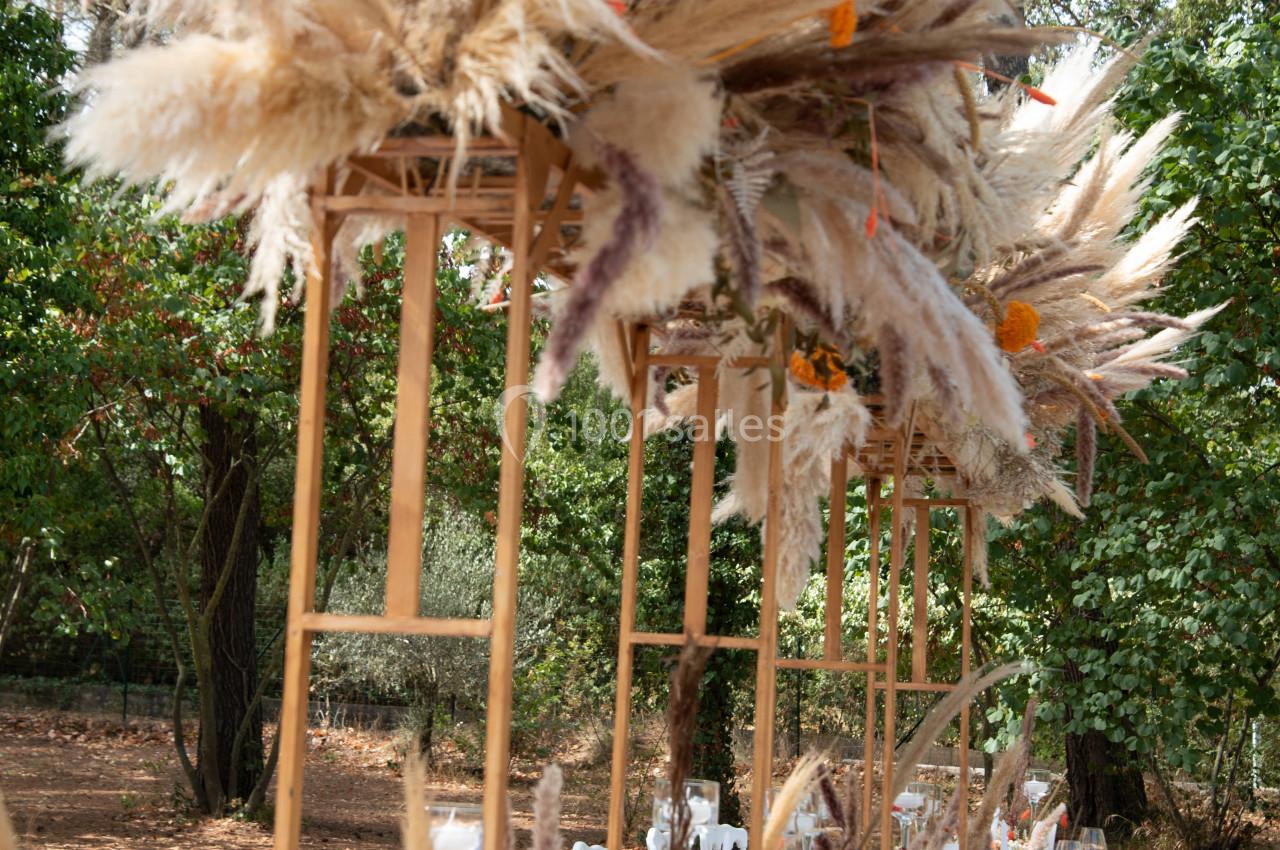 Photo Lnc Design #25