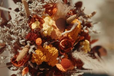 Photo Lnc Design #34