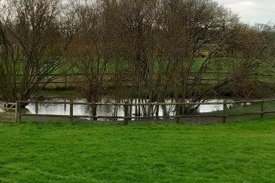 Miniature Espaces extérieurs bucoliques Gîte pour 8 personnes