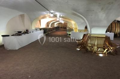 Location salle Belleville (Rhône) - Château de Pizay #11