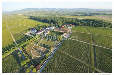 Location salle Belleville (Rhône) - Château de Pizay #11