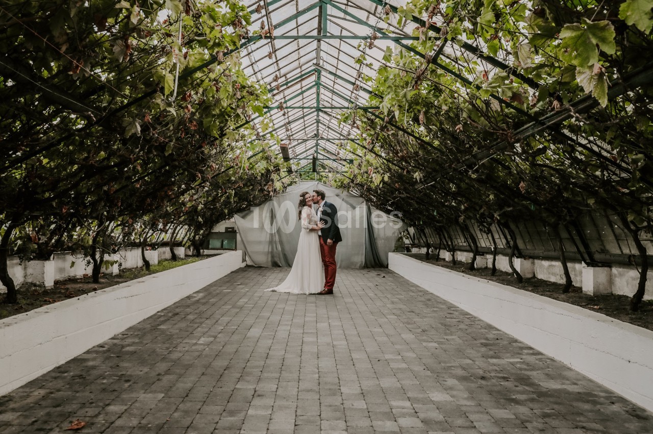 Un couple en tenue de mariage se tient au centre d'une serre entourée de vignes suspendues.
