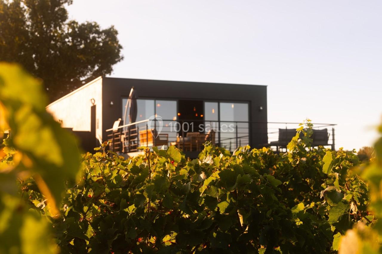 Maison moderne avec terrasse surélevée, entourée de vignes verdoyantes sous une lumière douce en fin de journée.