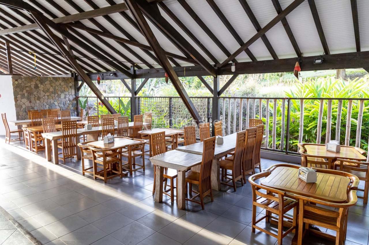 Terrasse couverte avec des tables et chaises en bois, entourée de verdure et éclairée par la lumière naturelle.