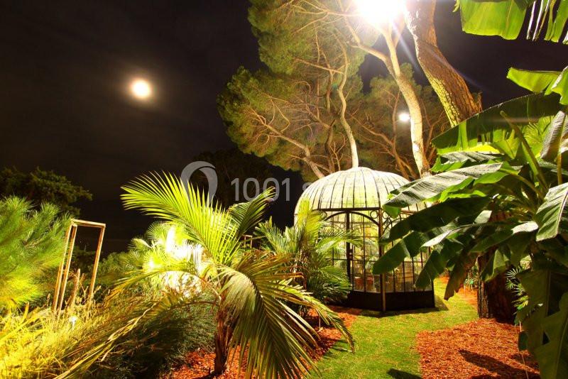 Les Pins Penchés - galerie - photo 12