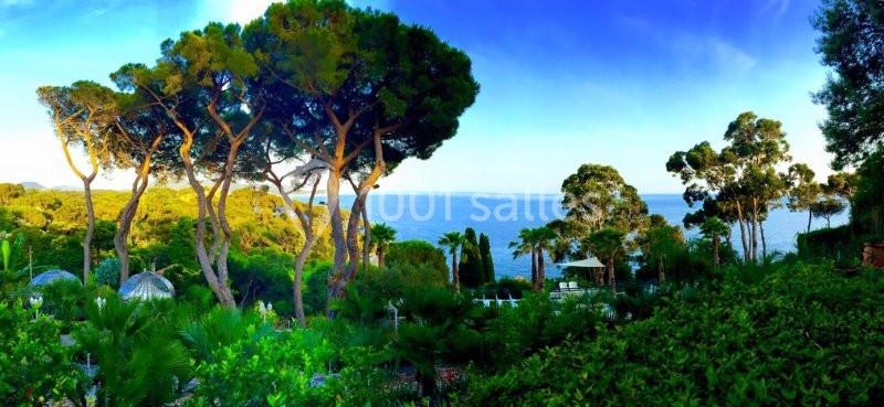 Les Pins Penchés - galerie - photo 13