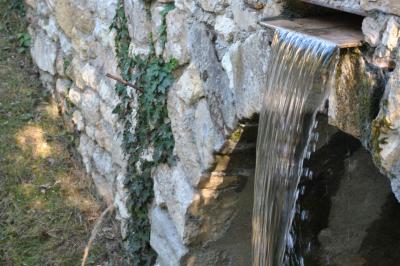 Domaine de la Roseraie - photo 4