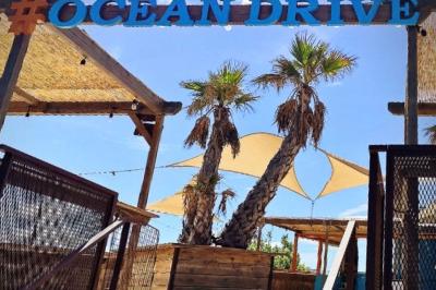 Miniature Location salle Fréjus (Var) - Océan Drive Fréjus #7 Assiette de dessert composée de crème glacée, purée orange, garnitures croquantes et feuilles de menthe.