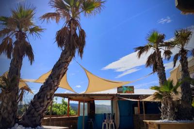 Miniature Location salle Fréjus (Var) - Océan Drive Fréjus #14 Assiette de dessert composée de crème glacée, purée orange, garnitures croquantes et feuilles de menthe.