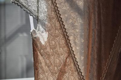 Un grand groupe de personnes souriantes levant les bras, rassemblées dans un parc pour une célébration.