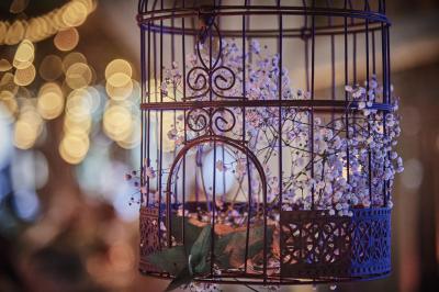 Un grand groupe de personnes souriantes levant les bras, rassemblées dans un parc pour une célébration.