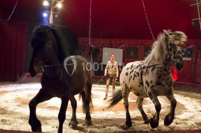 Miniature Location salle Néoules (Var) - Chapiteaux De Provence #7 Location salle Néoules (Var) - Chapiteaux De Provence #22