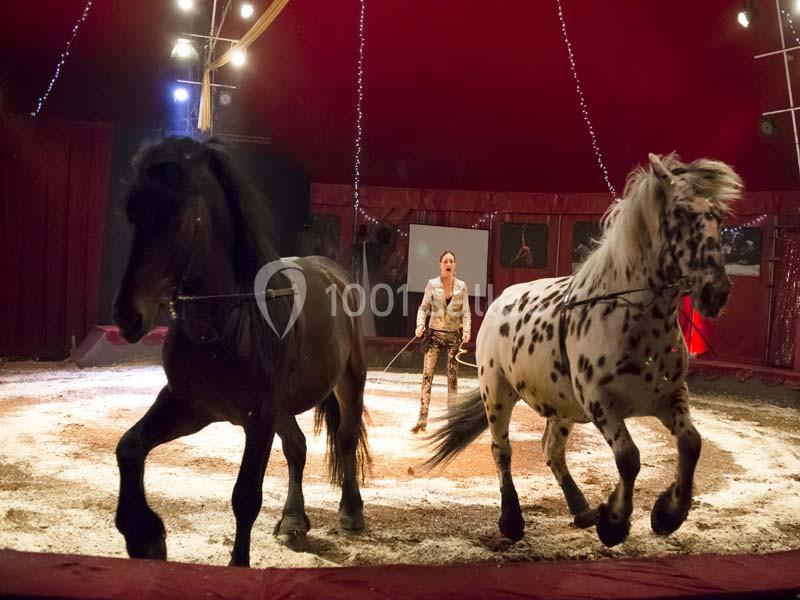 Location salle Néoules (Var) - Chapiteaux De Provence #7