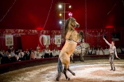 Miniature Location salle Néoules (Var) - Chapiteaux De Provence #8 Location salle Néoules (Var) - Chapiteaux De Provence #22