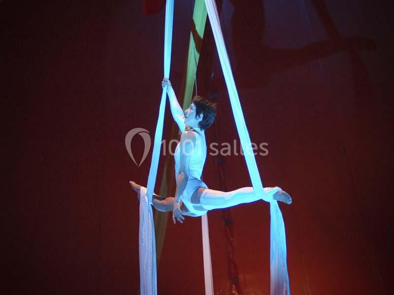 Chapiteaux De Provence - galerie - photo 17