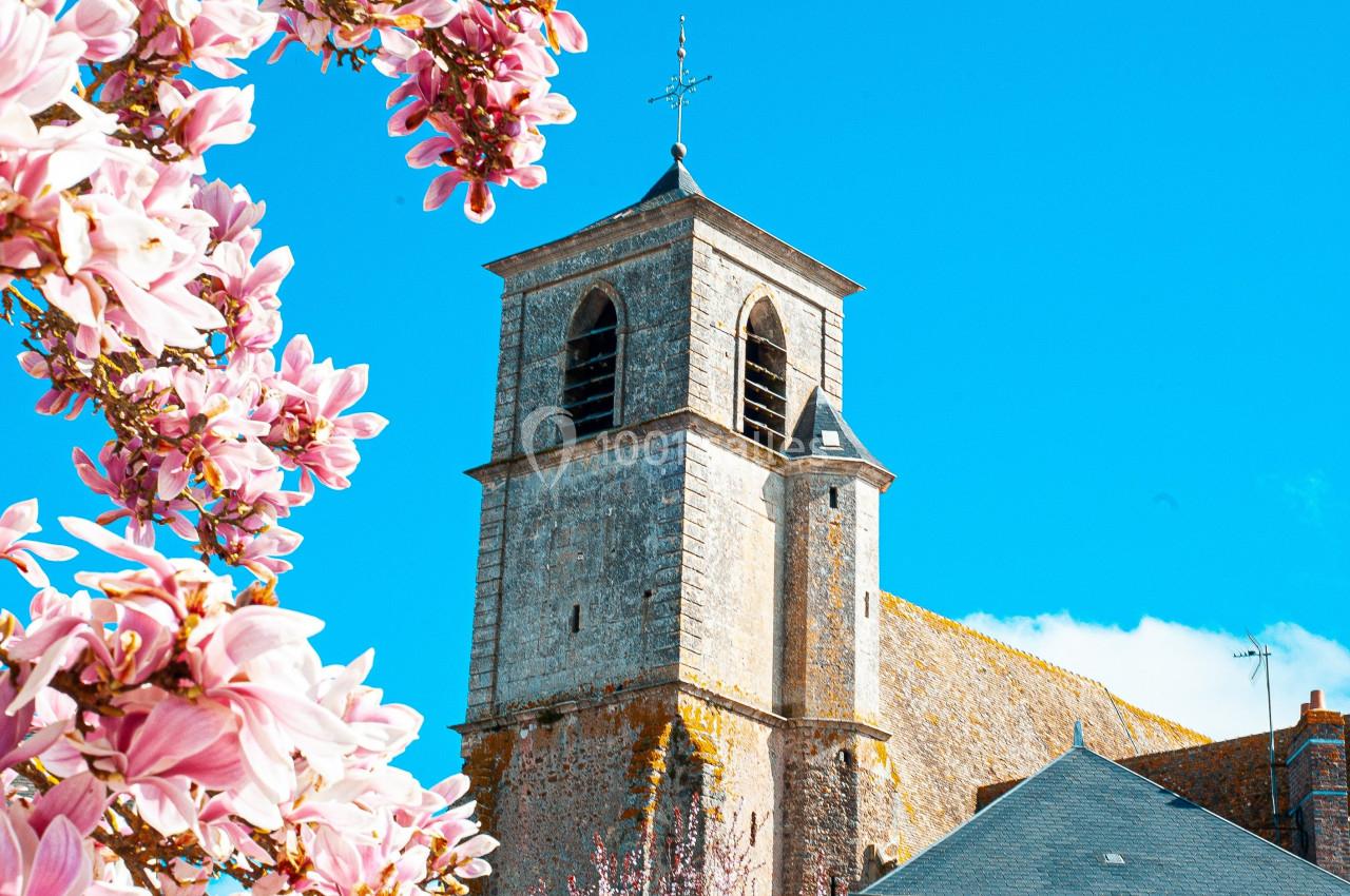 Clocher en pierre d'une église entouré de magnolias en fleurs sous un ciel bleu.