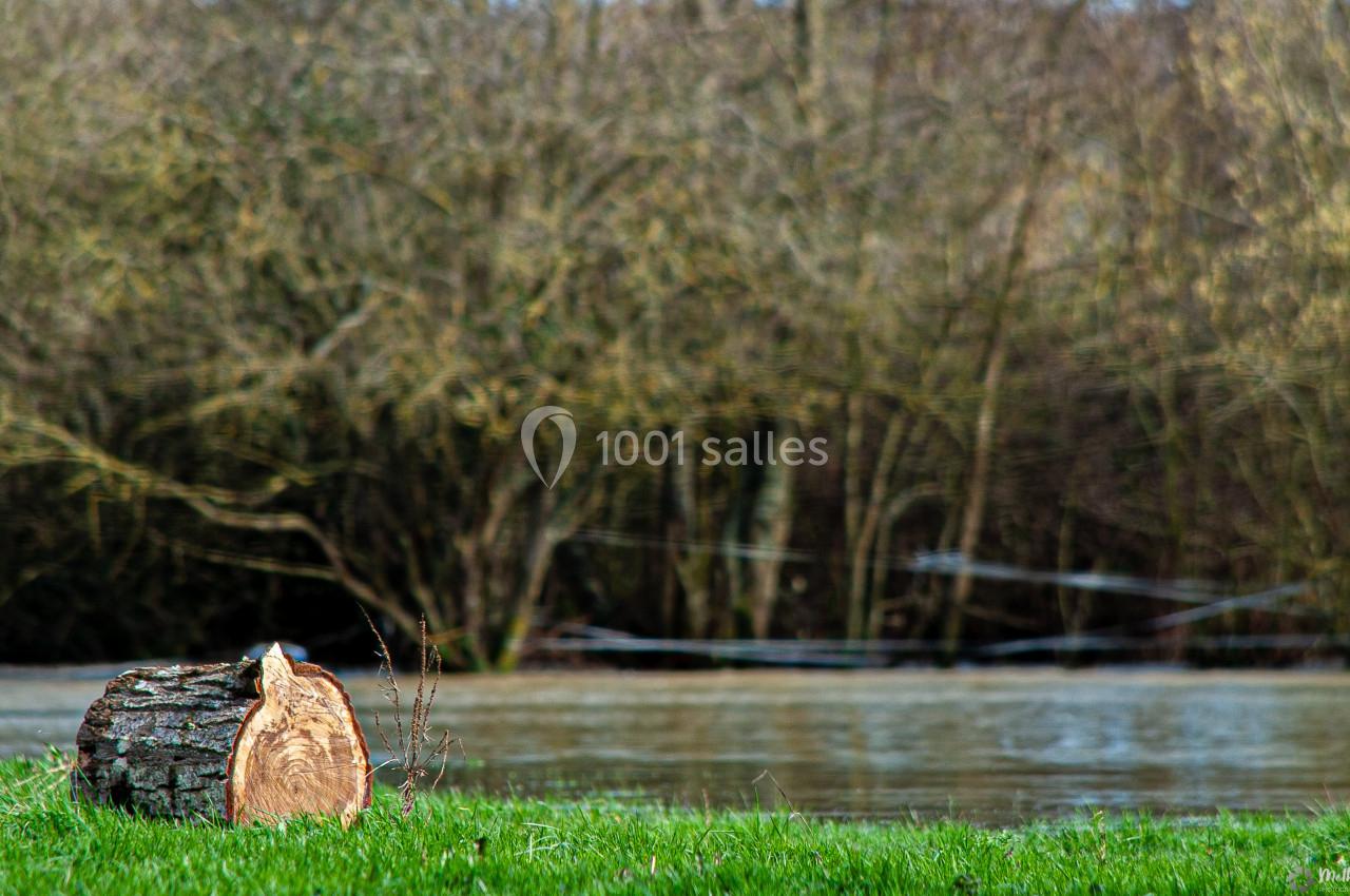 Tronc d'arbre coupé posé sur une pelouse verte près d'une rivière, avec des arbres nus en arrière-plan.