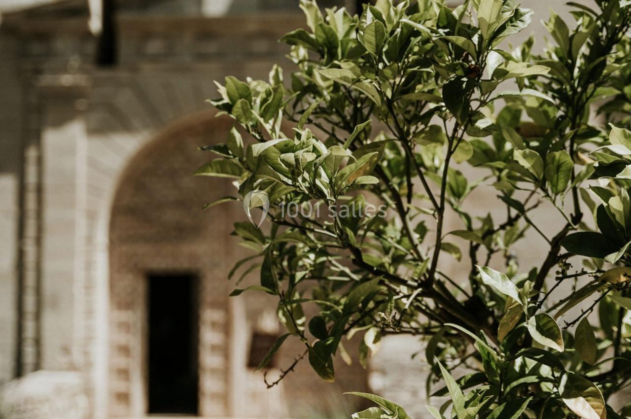 Château de la Citardière - galerie - photo 19