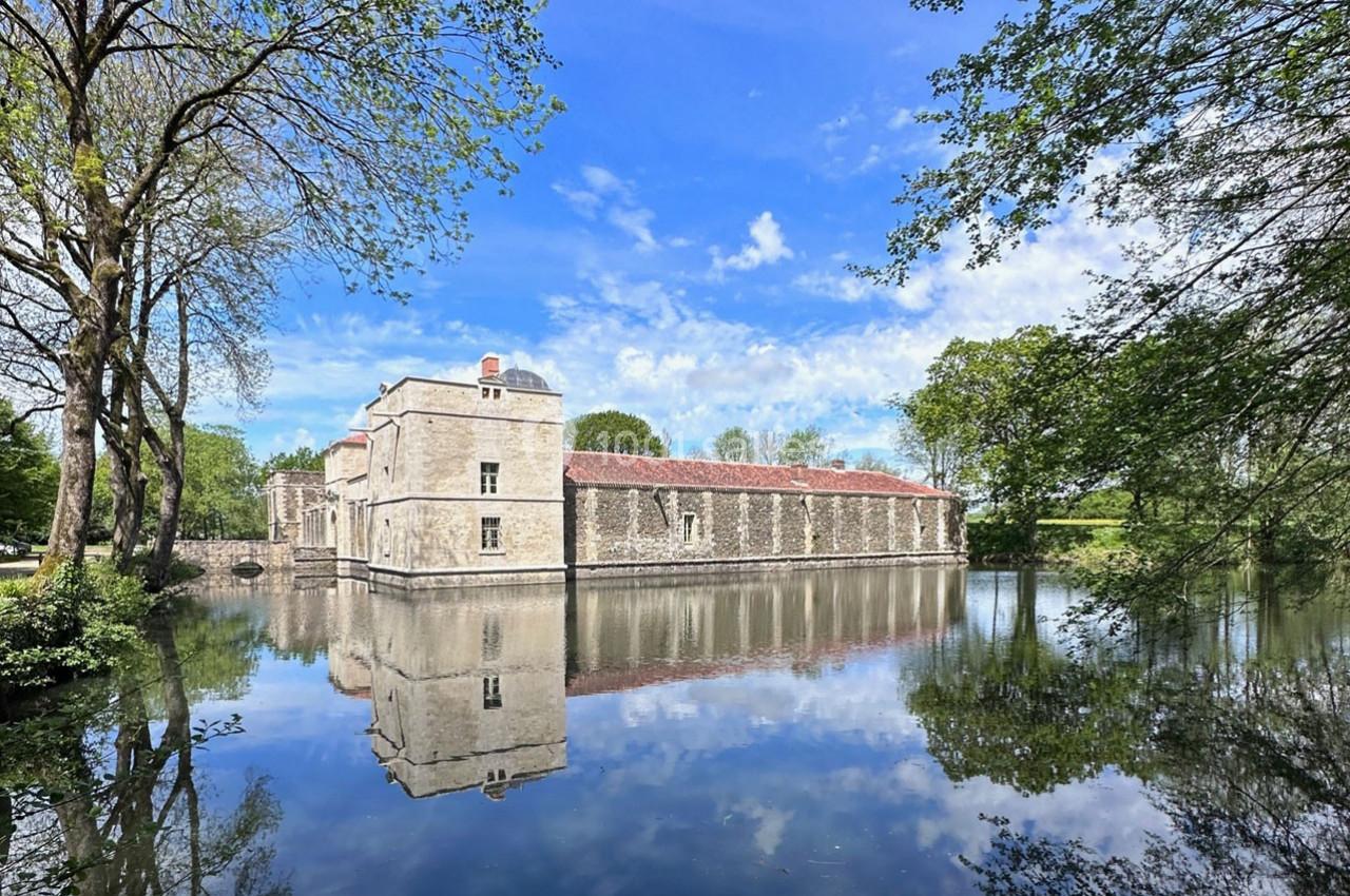 Château de la Citardière - galerie - photo 20