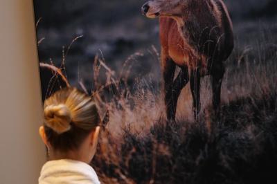 Location salle Lierneux (Liège) - Le Domaine de Bra #37
