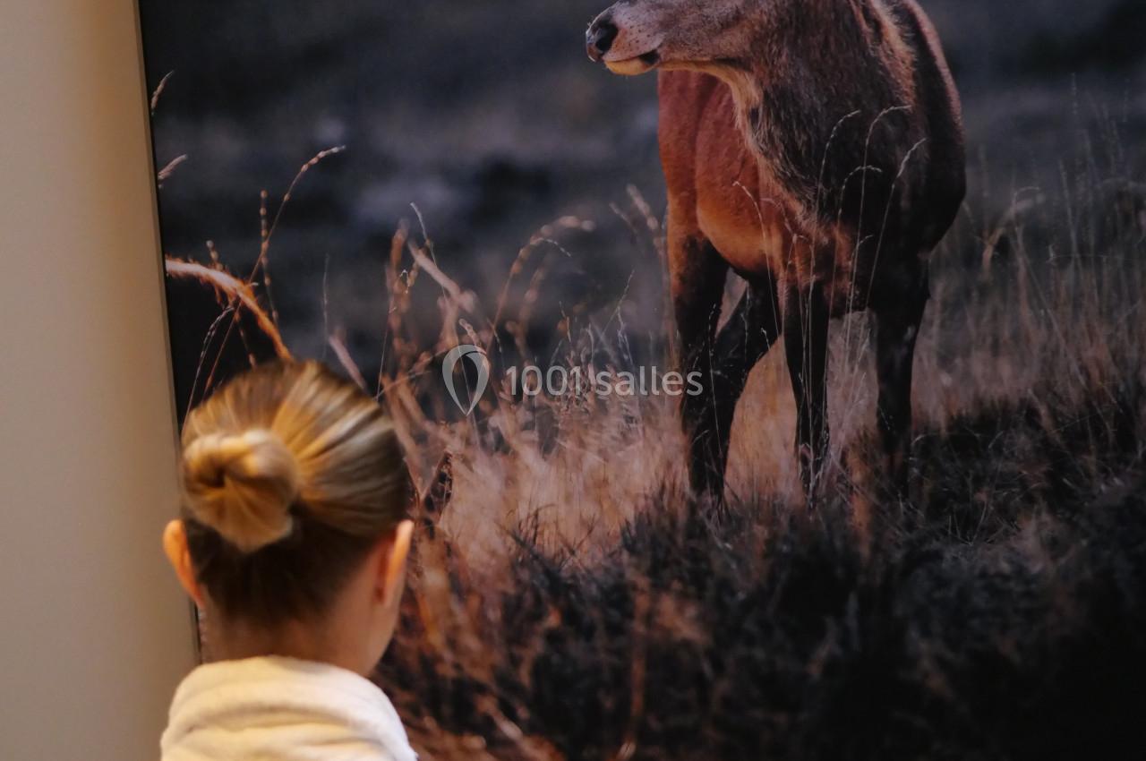 Location salle Lierneux (Liège) - Le Domaine de Bra #24